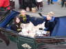 Zooch 2007 (152)