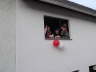 Zooch 2007 (231)