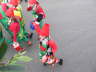 Zooch 2007 (92)